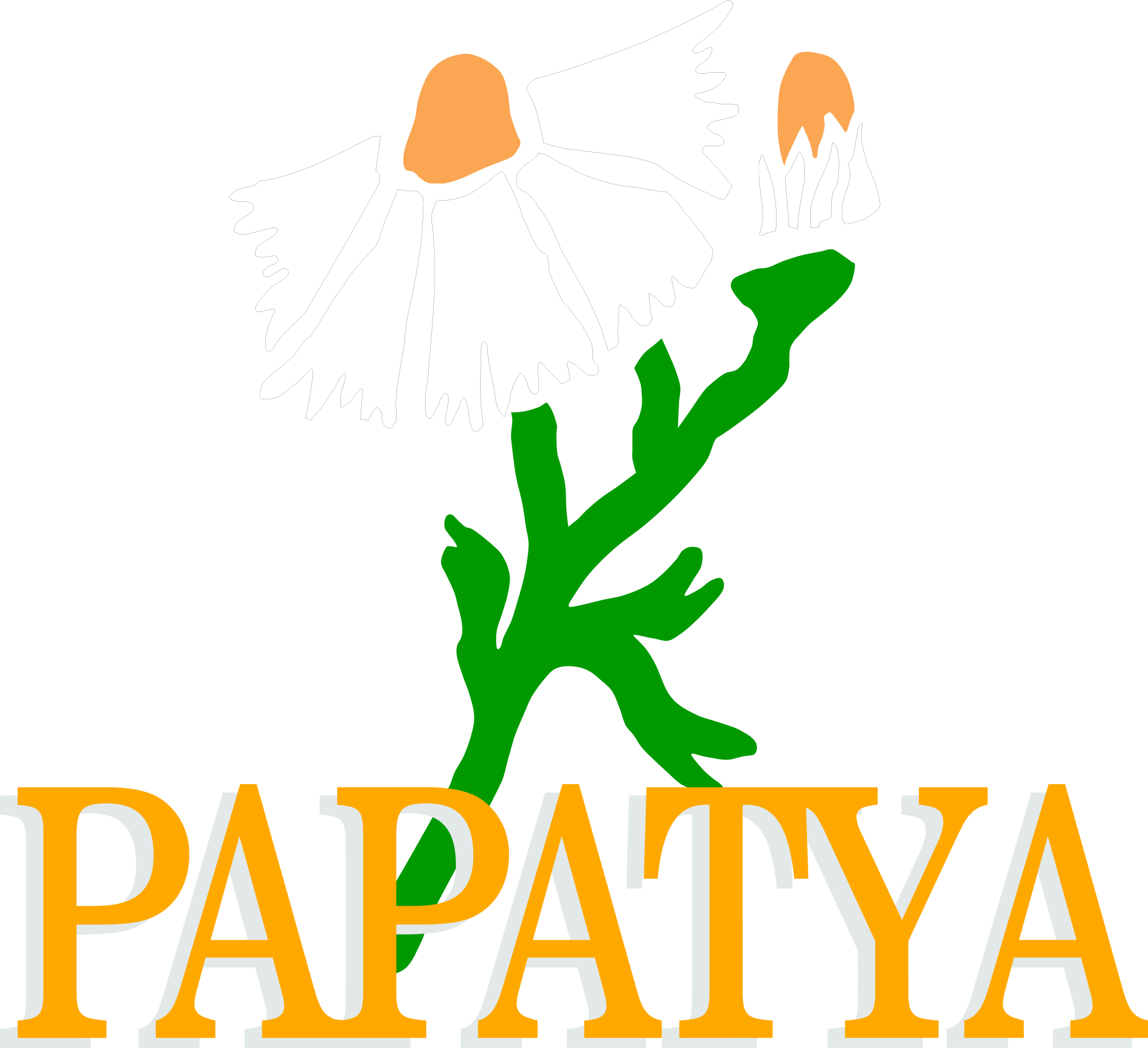papatya